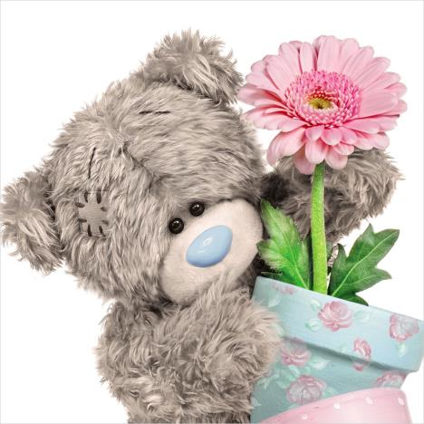3D Holographic Flower Pot Me to You Bear Card £2.69